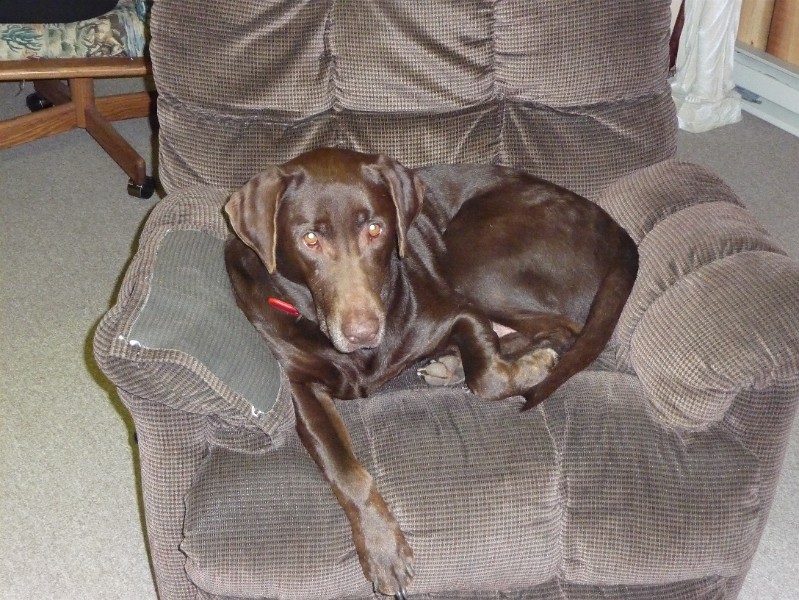 Katie in her chair.JPG